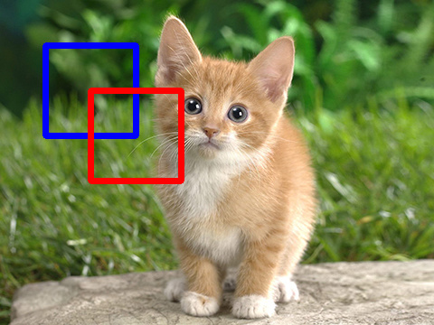 ../_images/rectangle.jpg