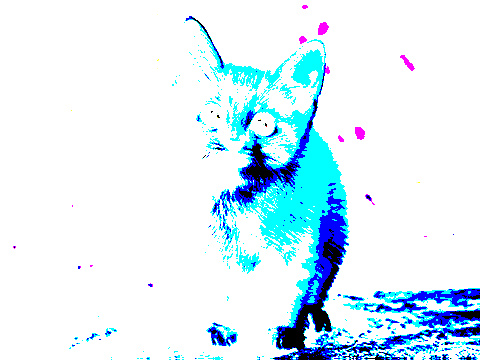 filter2D.jpg